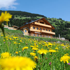 Sommerurlaub auf 1150m Seehoehe